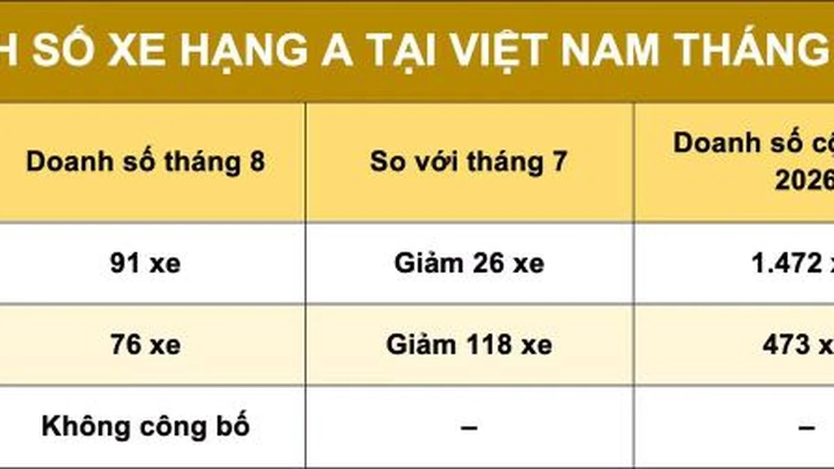 Sụt giảm mạnh doanh số xe hạng A tại Việt Nam: Từ hơn 45.000 xuống chỉ 6.000 chiếc - Hình 1